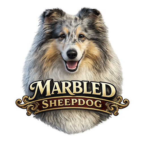 Hodowla Owczarków Szkockich | Rough Collie – Marbled Sheepdog